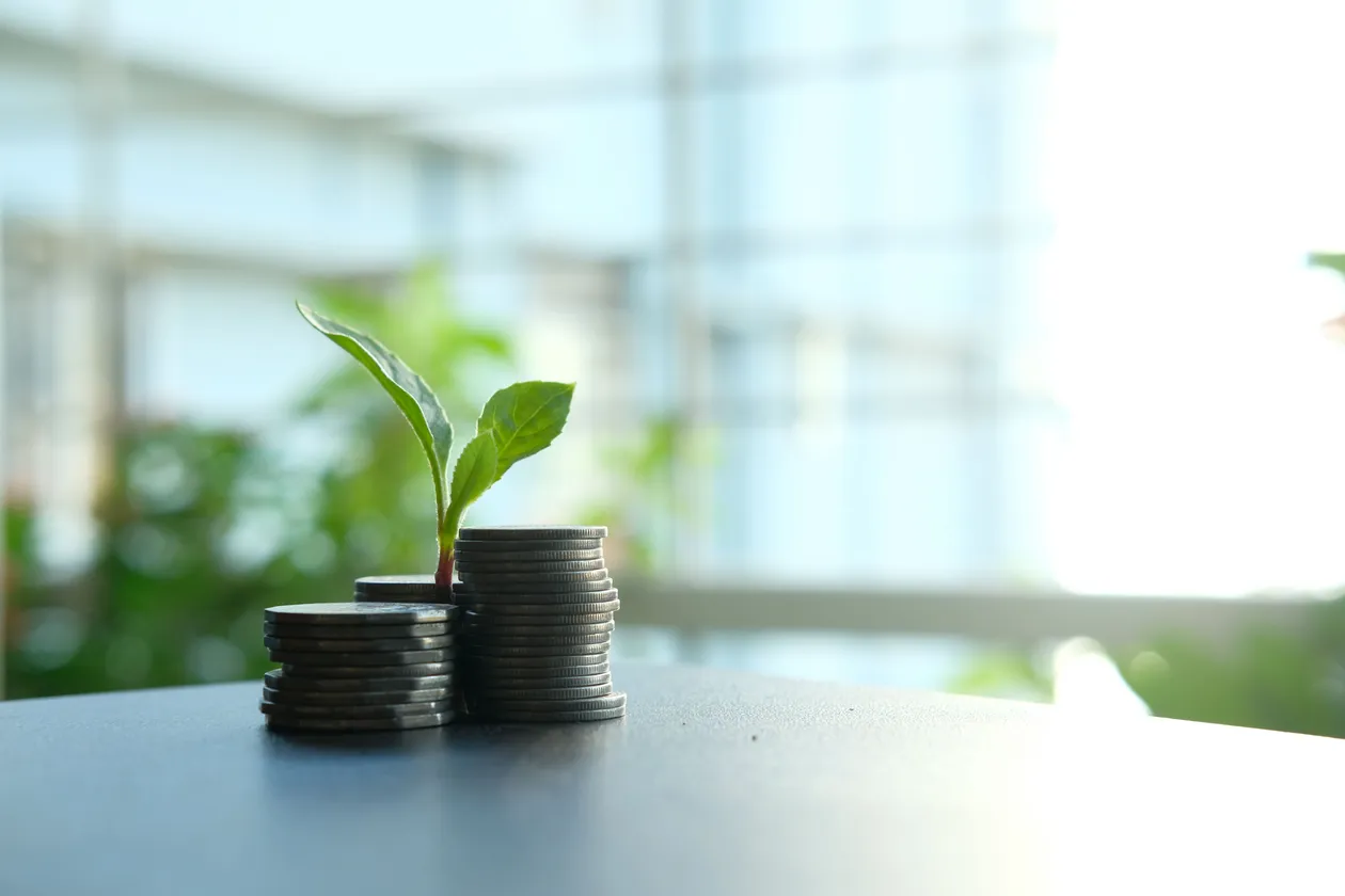 Small green plant growing between two stacks of silver coins on a table, with a bright window in the background