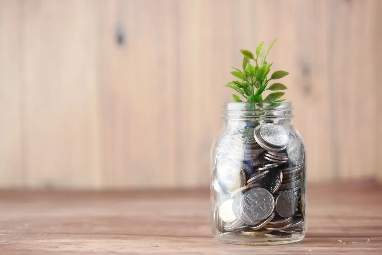 Glass jar full of coins with a young green plant growing out of the top, on a wooden surface